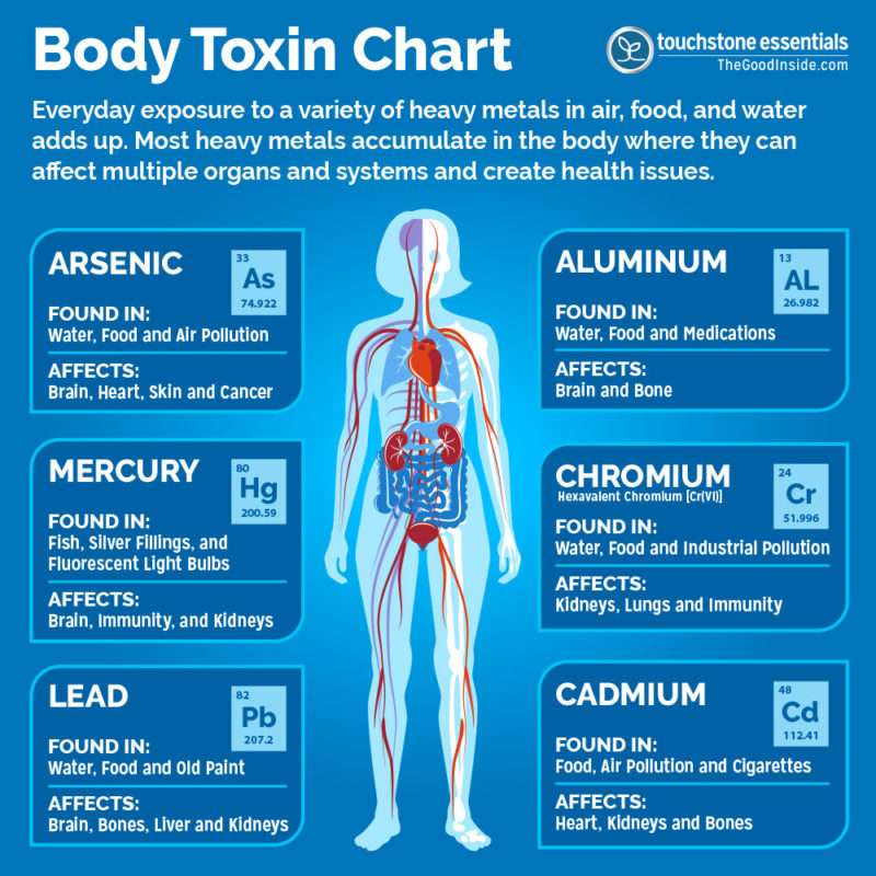 body toxin chart