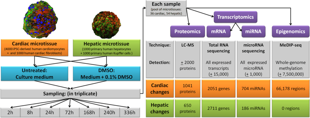 DMSO Review