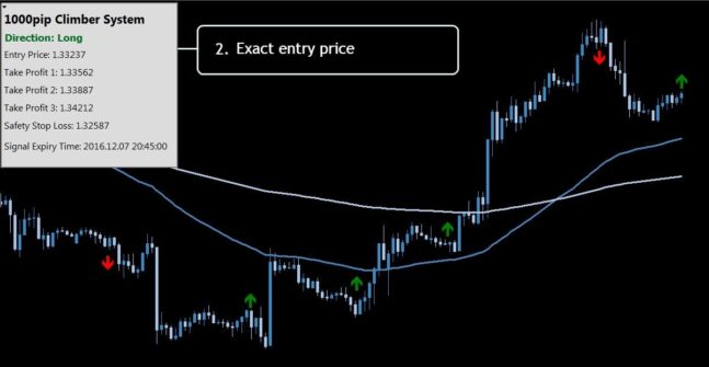 Read more about the article 1000pip Climber Forex System Review