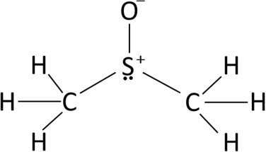 Dimethylsulfoxid for Interstitial Cystitis Review