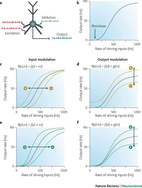 Neural Wealth Review