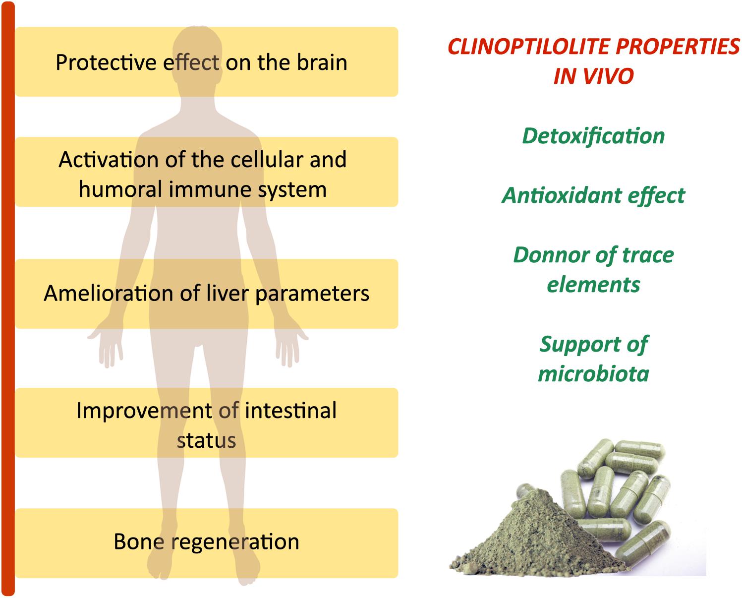 Zeolite review